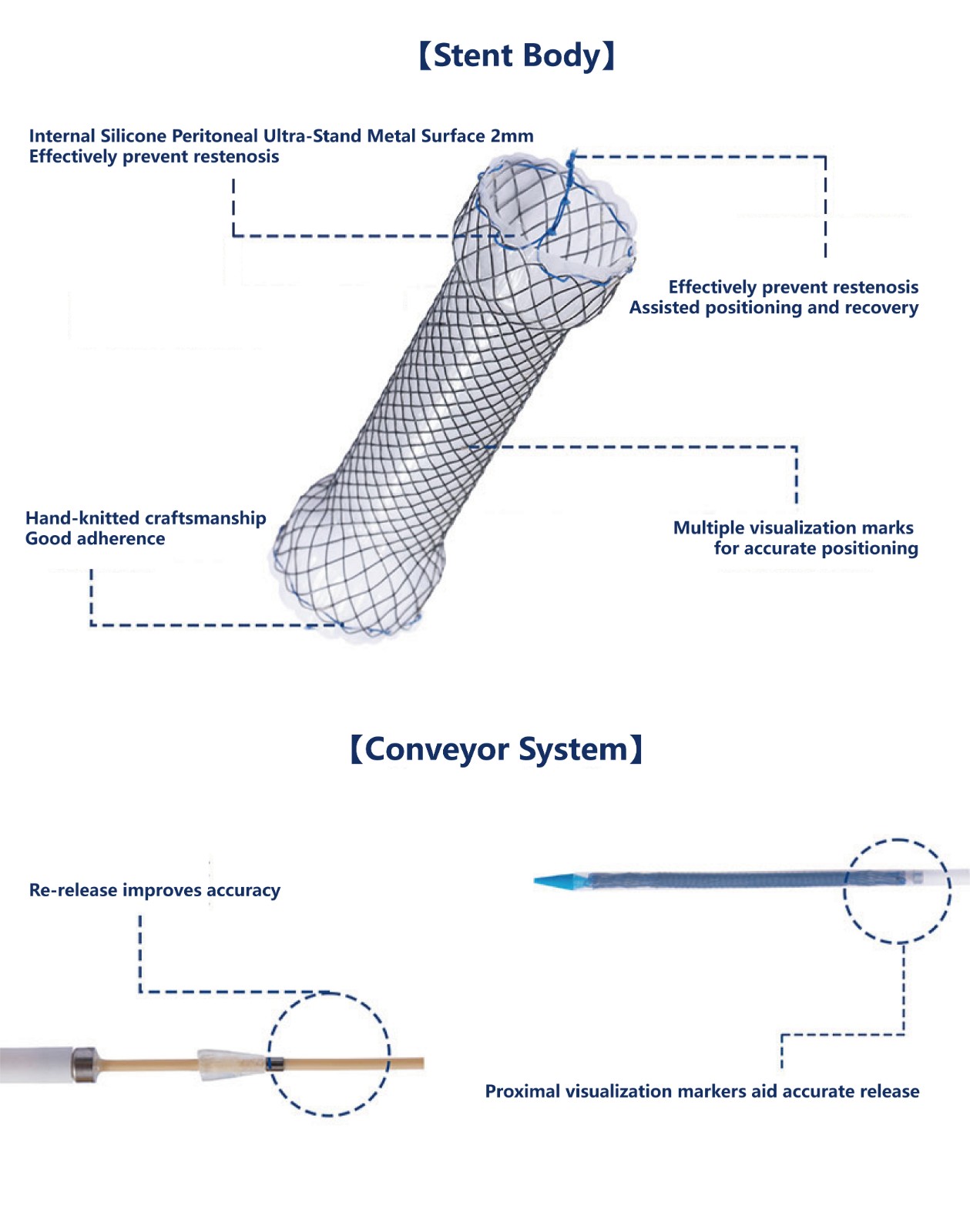 20-01-11_畫(huà)板 1.jpg